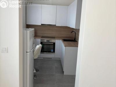 Pronájem bytu 1+1 Ostrava, Zeyerova č. 4