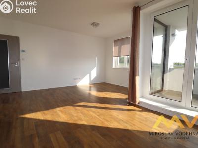 Pronájem bytu 2+KK Hradec Králové, Pod Svahem č. 6