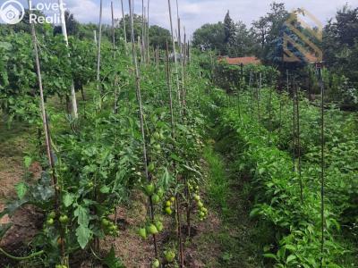 Prodej rodinného domu Velké Žernoseky č. 60