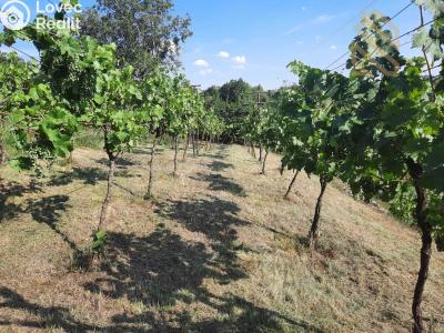 Prodej rodinného domu Velké Žernoseky č. 63