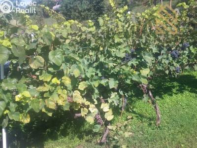 Prodej rodinného domu Velké Žernoseky č. 65