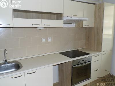 Pronájem bytu 2+1 Ústí nad Labem, Purkyňova č. 1