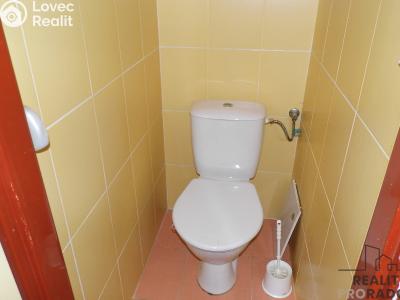 Pronájem bytu 2+1 Ústí nad Labem, Purkyňova č. 7