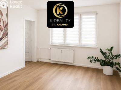 Pronájem bytu 3+KK Duchcov, Družby č. 7