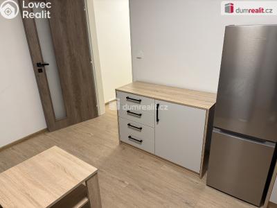 Pronájem bytu 1+KK Mariánské Lázně, třída Vítězství č. 40