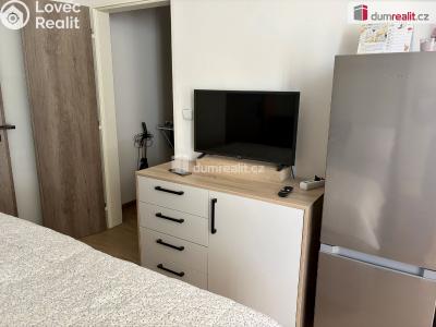 Pronájem bytu 1+KK Mariánské Lázně, třída Vítězství č. 56