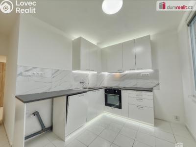Pronájem bytu 2+1 Ústí nad Labem, Oblá č. 1