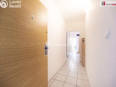 Pronájem bytu 3+1 České Budějovice, J. Bendy č. 3