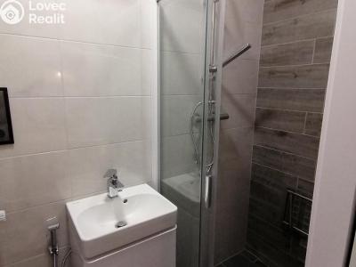 Оренда квартири 3+KK Nový Jičín č. 9