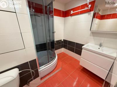 Pronájem bytu 2+1 Bílina, Aléská č. 3
