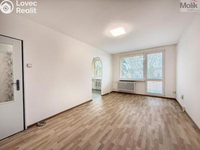 Pronájem bytu 2+1 Bílina, Aléská č. 4