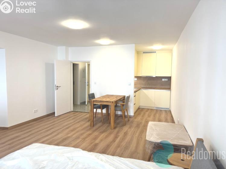 Pronájem bytu 1+KK České Budějovice, Česká č. 1