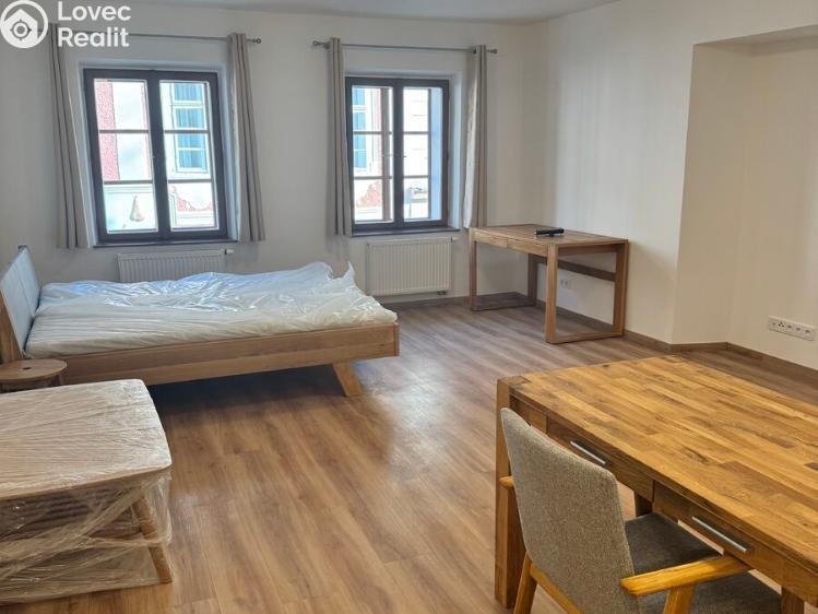 Pronájem bytu 1+KK České Budějovice, Česká č. 3