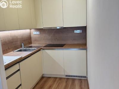 Pronájem bytu 1+KK České Budějovice, Česká č. 2