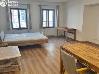 Pronájem bytu 1+KK České Budějovice, Česká č. 3