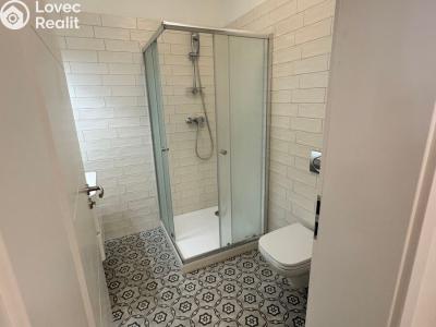 Pronájem bytu 1+KK České Budějovice, Česká č. 5