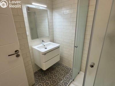 Pronájem bytu 1+KK České Budějovice, Česká č. 6