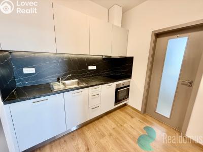 Pronájem bytu 1+1 České Budějovice, Prašná č. 1
