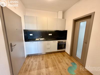 Pronájem bytu 1+1 České Budějovice, Prašná č. 6