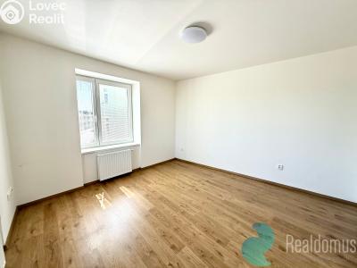 Pronájem bytu 1+1 České Budějovice, Prašná č. 8