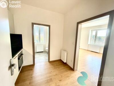 Pronájem bytu 1+1 České Budějovice, Prašná č. 11