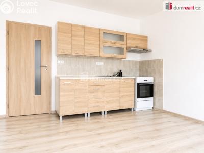 Pronájem bytu 2+KK Ústí nad Labem, Brandtova č. 1