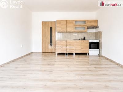 Pronájem bytu 2+KK Ústí nad Labem, Brandtova č. 2
