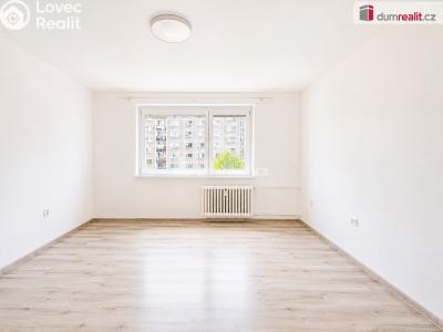 Pronájem bytu 2+KK Ústí nad Labem, Brandtova č. 3