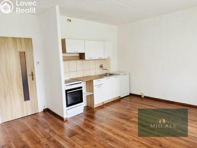 Pronájem bytu 1+KK Plzeň, Sokolovská č. 11