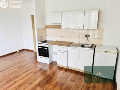 Pronájem bytu 1+KK Plzeň, Sokolovská č. 2