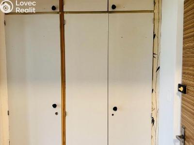 Pronájem bytu 1+KK Plzeň, Sokolovská č. 6