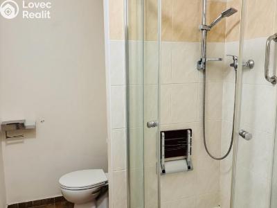 Pronájem bytu 1+KK Plzeň, Sokolovská č. 9