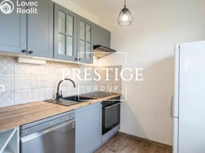 Rent apartment 2+1 Praha, Údolní č. 1