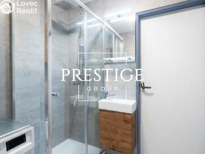 Rent apartment 2+1 Praha, Údolní č. 4