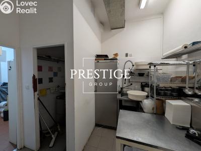 Pronájem restaurace Praha, Vlkova č. 11