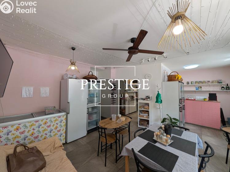 Pronájem restaurace Praha, Vrchlického 9/40 č. 3