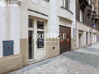 Pronájem obchodního prostoru Praha, Pecháčkova č. 13