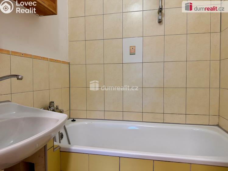 Rent apartment 2+1 Ostrov, Severní č. 3