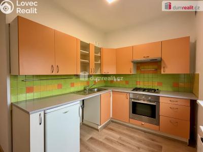Rent apartment 2+1 Ostrov, Severní č. 1