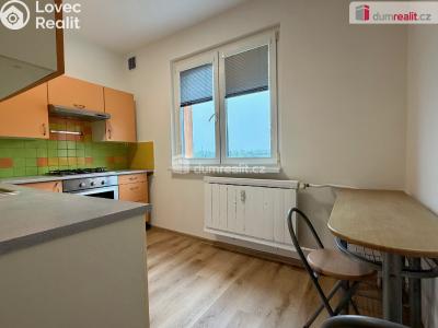 Rent apartment 2+1 Ostrov, Severní č. 2