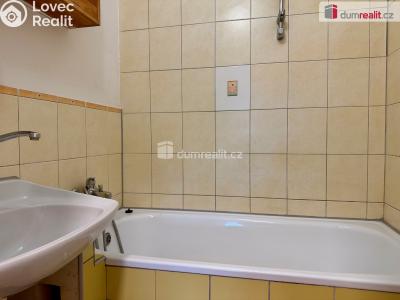 Rent apartment 2+1 Ostrov, Severní č. 3