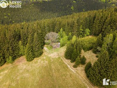 Продажа участка под строительство Velké Karlovice č. 2