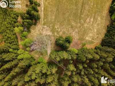 Продажа участка под строительство Velké Karlovice č. 16