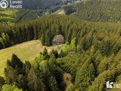 Продажа участка под строительство Velké Karlovice č. 18