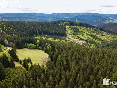 Продажа участка под строительство Velké Karlovice č. 20