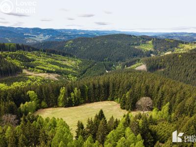 Продажа участка под строительство Velké Karlovice č. 21