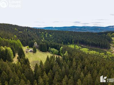 Продажа участка под строительство Velké Karlovice č. 22