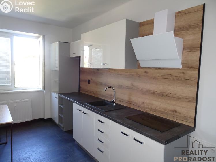 Rent apartment 1+1 Pardubice, Lexova č. 2