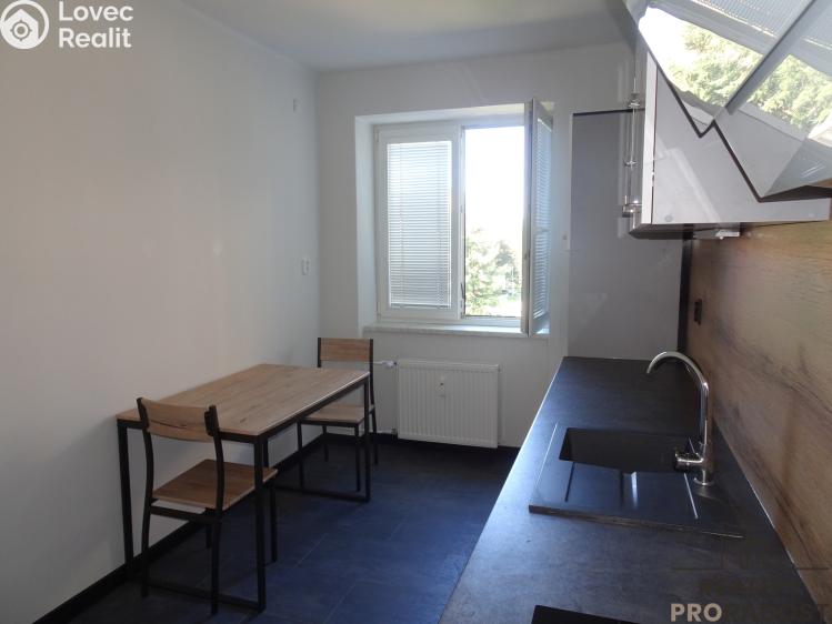 Rent apartment 1+1 Pardubice, Lexova č. 4