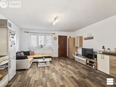 Prodej vícegeneračního domu Brandýs nad Labem-Stará Boleslav, Královická č. 11